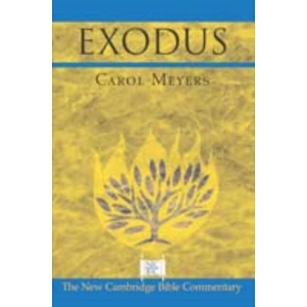 Exodus, Carol Meyers