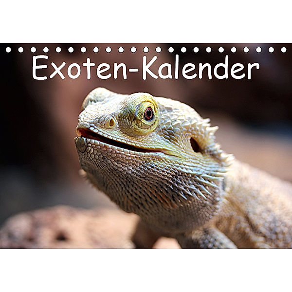 Exoten-Kalender (Tischkalender 2019 DIN A5 quer), Bernd Witkowski