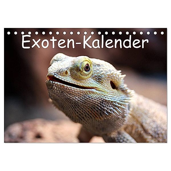 Exoten-Kalender (Tischkalender 2024 DIN A5 quer), CALVENDO Monatskalender, Bernd Witkowski