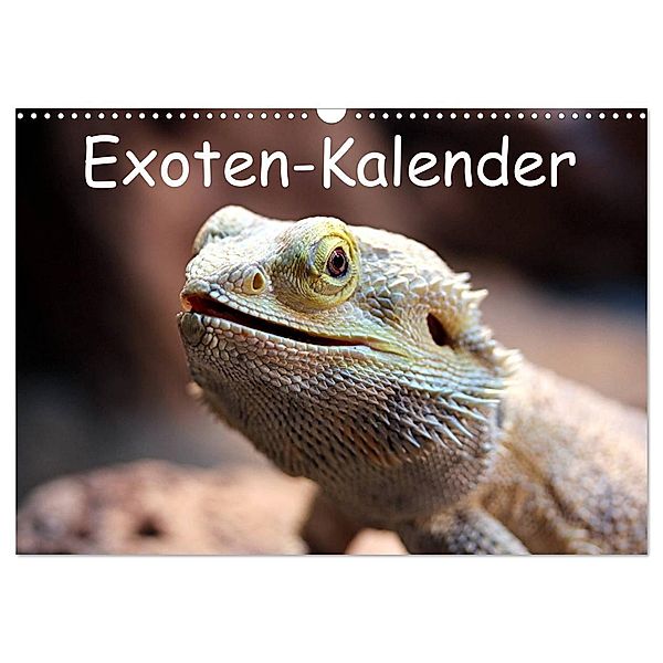 Exoten-Kalender (Wandkalender 2024 DIN A3 quer), CALVENDO Monatskalender, Bernd Witkowski