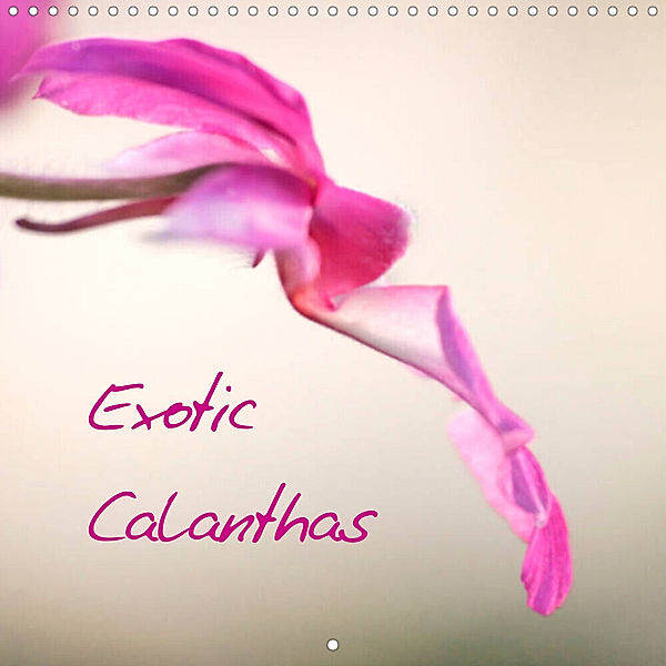 Exotic Calanthas (Wall Calendar 2023 300 × 300 mm Square), Clemens Stenner