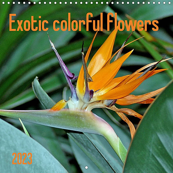 Exotic colorful flowers (Wall Calendar 2023 300 × 300 mm Square), Claudia Kleemann