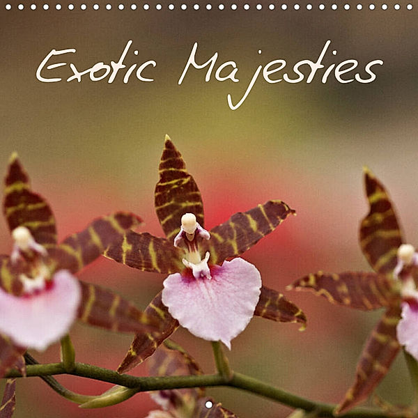 Exotic Majesties (Wall Calendar 2023 300 × 300 mm Square), © Clemens Stenner