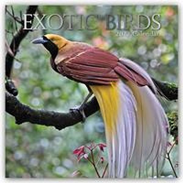 Exotik Birds - Exotische Vögel 2022 - 16-Monatskalender, Gifted Stationery Co. Ltd