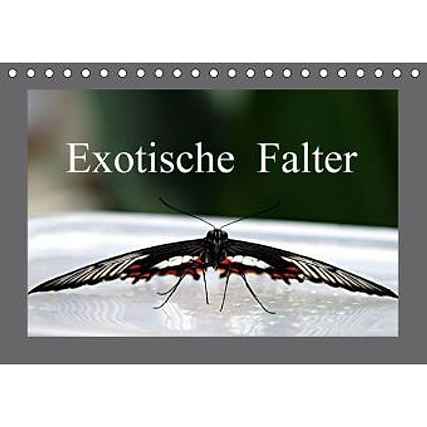 Exotische Falter (Tischkalender 2016 DIN A5 quer), Bernd Witkowski