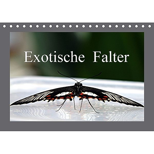 Exotische Falter (Tischkalender 2018 DIN A5 quer), Bernd Witkowski