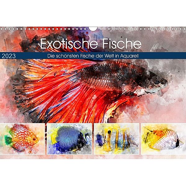 Exotische Fische - Die schönsten Fische der Welt in Aquarell (Wandkalender 2023 DIN A3 quer), Anja Frost