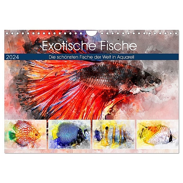 Exotische Fische - Die schönsten Fische der Welt in Aquarell (Wandkalender 2024 DIN A4 quer), CALVENDO Monatskalender, Anja Frost