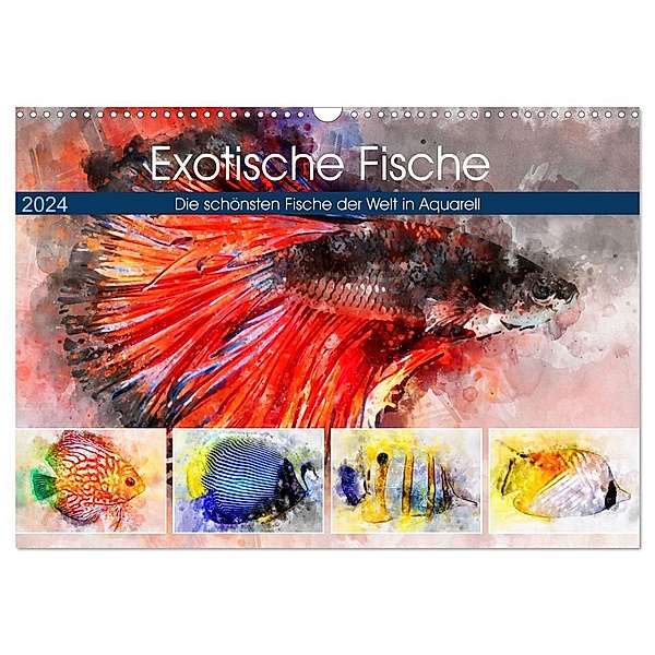 Exotische Fische - Die schönsten Fische der Welt in Aquarell (Wandkalender 2024 DIN A3 quer), CALVENDO Monatskalender, Anja Frost