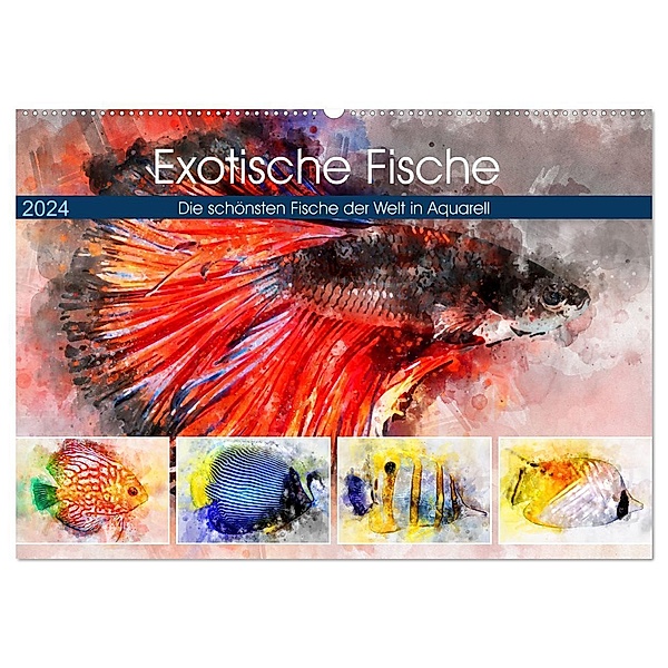 Exotische Fische - Die schönsten Fische der Welt in Aquarell (Wandkalender 2024 DIN A2 quer), CALVENDO Monatskalender, Anja Frost