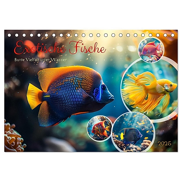 Exotische Fische (Tischkalender 2025 DIN A5 quer), CALVENDO Monatskalender, Calvendo, Steffen Gierok-Latniak