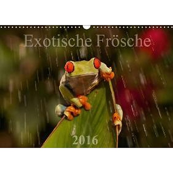 Exotische Frösche (Wandkalender 2016 DIN A3 quer), Axel Hilger