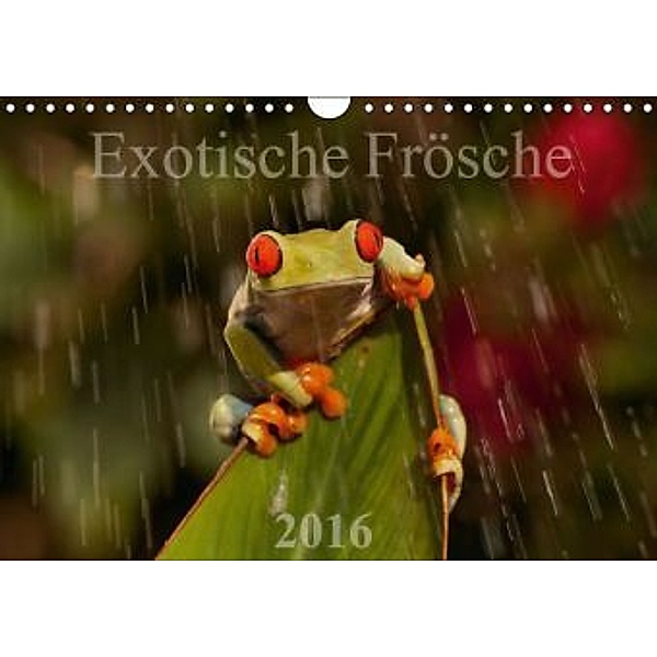 Exotische Frösche (Wandkalender 2016 DIN A4 quer), Axel Hilger