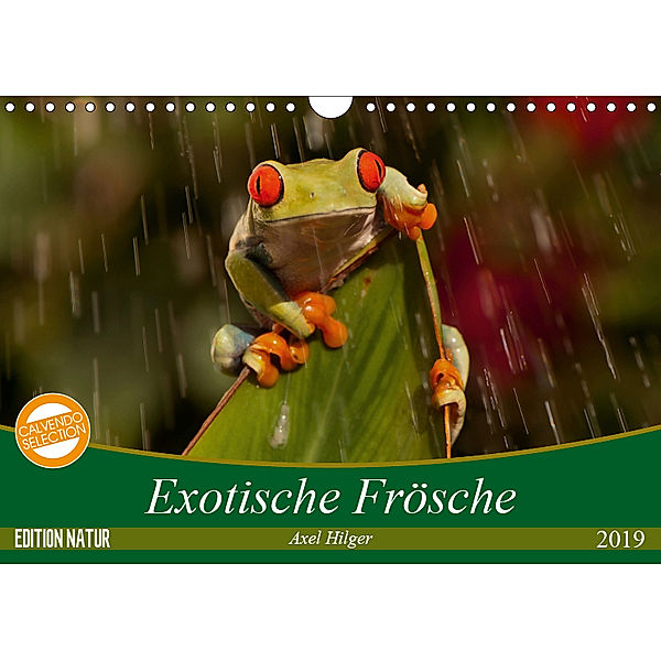 Exotische Frösche (Wandkalender 2019 DIN A4 quer), Axel Hilger