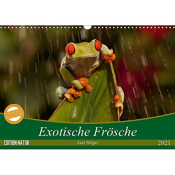 Exotische Frösche (Wandkalender 2021 DIN A3 quer), Axel Hilger