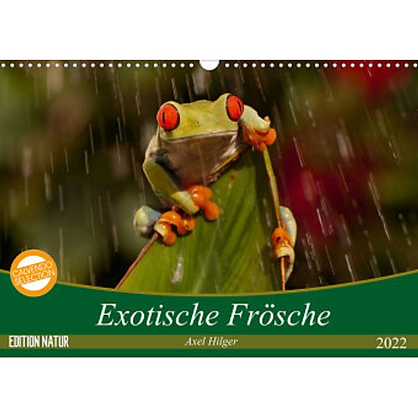 Exotische Frösche (Wandkalender 2022 DIN A3 quer), Axel Hilger