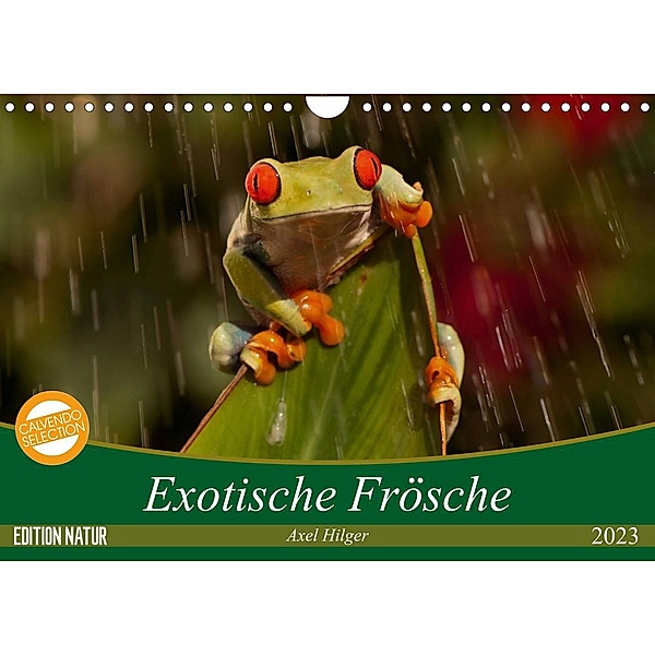 Exotische Frösche (Wandkalender 2023 DIN A4 quer), Axel Hilger