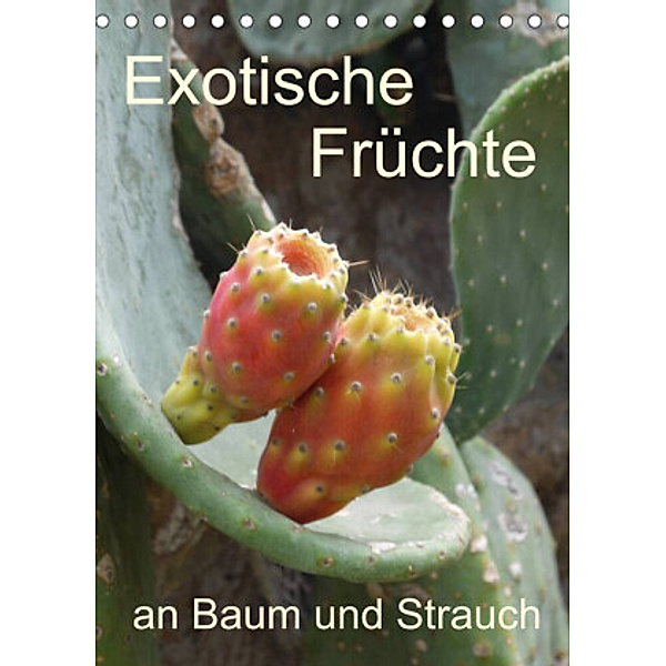 Exotische Früchte an Baum und Strauch (Tischkalender 2022 DIN A5 hoch), Stefanie Goldscheider