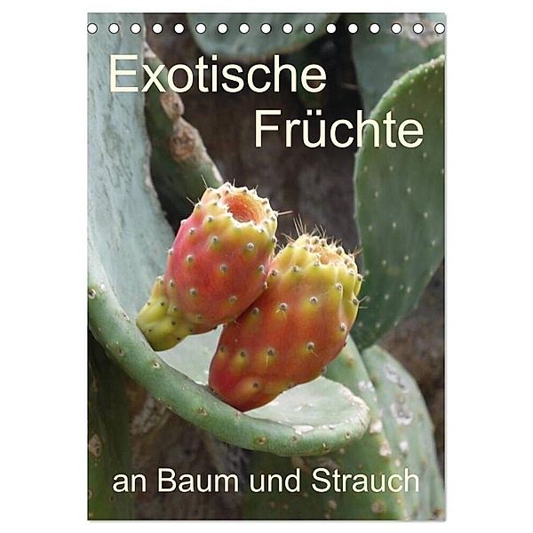 Exotische Früchte an Baum und Strauch (Tischkalender 2024 DIN A5 hoch), CALVENDO Monatskalender, Stefanie Goldscheider