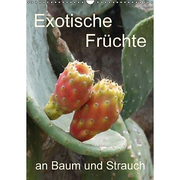 Exotische Früchte an Baum und Strauch (Wandkalender 2015 DIN A3 hoch), Stefanie Goldscheider