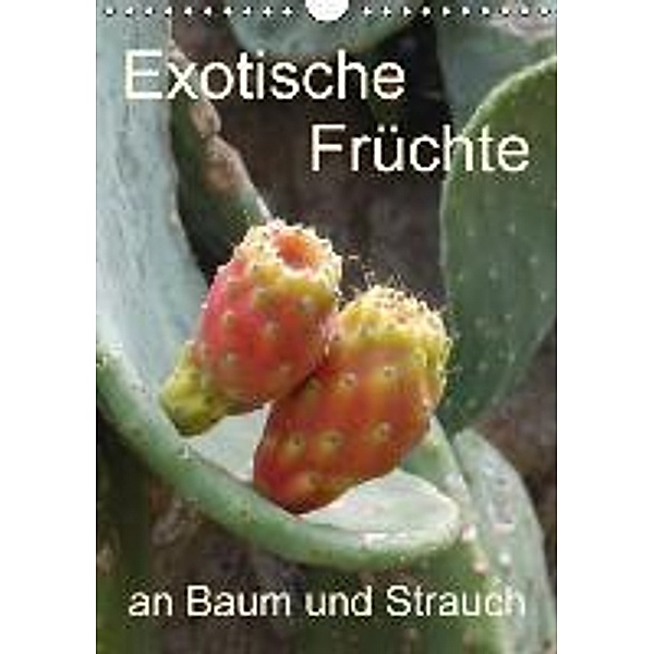 Exotische Früchte an Baum und Strauch (Wandkalender 2016 DIN A4 hoch), Stefanie Goldscheider