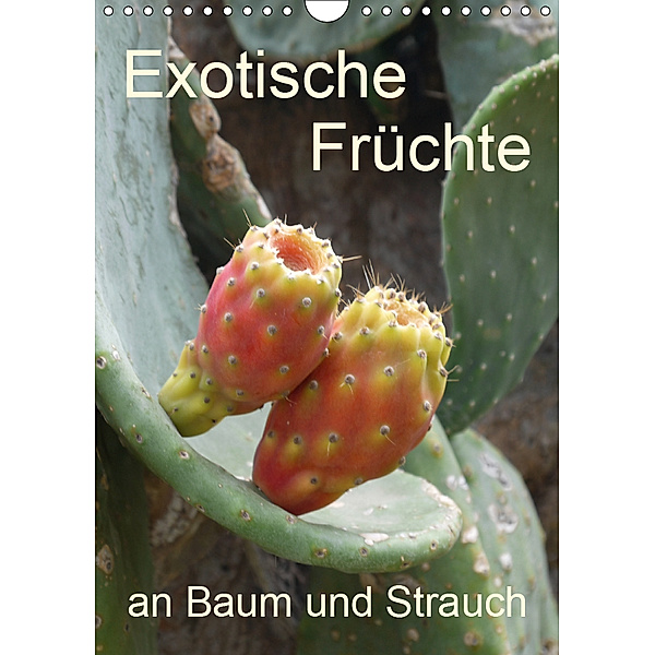 Exotische Früchte an Baum und Strauch (Wandkalender 2019 DIN A4 hoch), Stefanie Goldscheider