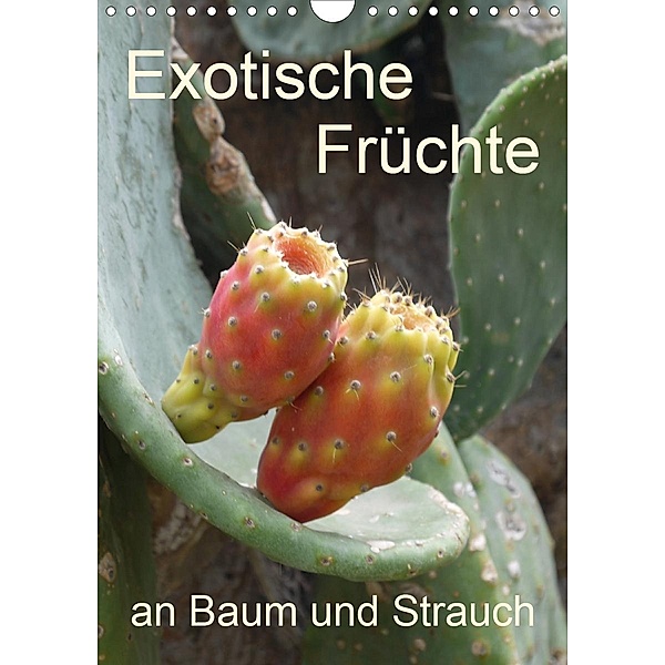 Exotische Früchte an Baum und Strauch (Wandkalender 2020 DIN A4 hoch), Stefanie Goldscheider