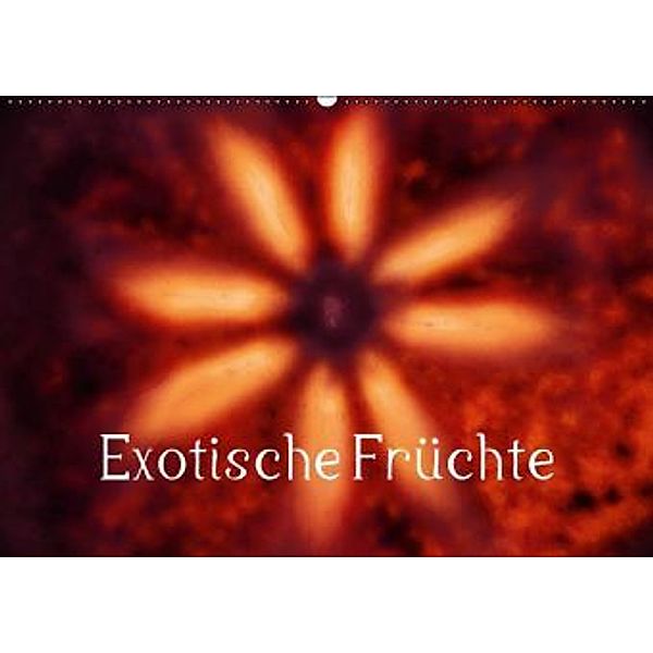 Exotische Früchte (Wandkalender 2015 DIN A2 quer), Herbie