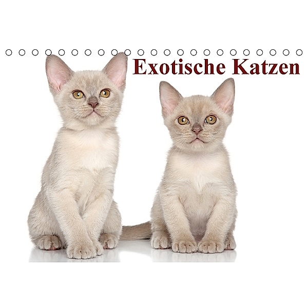 Exotische Katzen / Geburtstagskalender (Tischkalender immerwährend DIN A5 quer), Elisabeth Stanzer