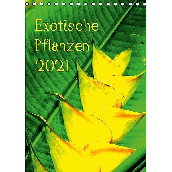 Exotische Pflanzen (Tischkalender 2021 DIN A5 hoch), Annina Brun