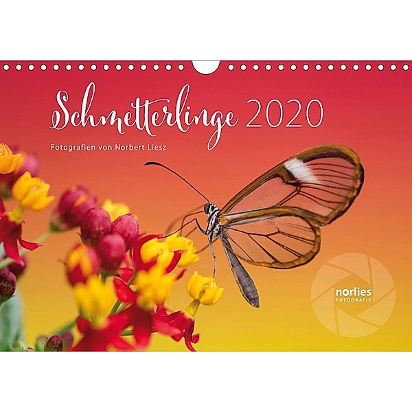 Exotische Schmetterlinge 2020 (Wandkalender 2020 DIN A4 quer), Norbert Liesz