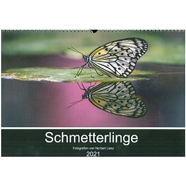 Exotische Schmetterlinge 2021 (Wandkalender 2021 DIN A3 quer), Norbert Liesz