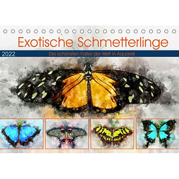 Exotische Schmetterlinge - Die schönsten Falter der Welt in Aquarell (Tischkalender 2022 DIN A5 quer), Anja Frost