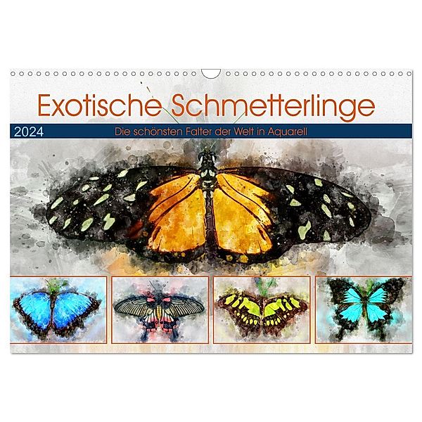 Exotische Schmetterlinge - Die schönsten Falter der Welt in Aquarell (Wandkalender 2024 DIN A3 quer), CALVENDO Monatskalender, Anja Frost