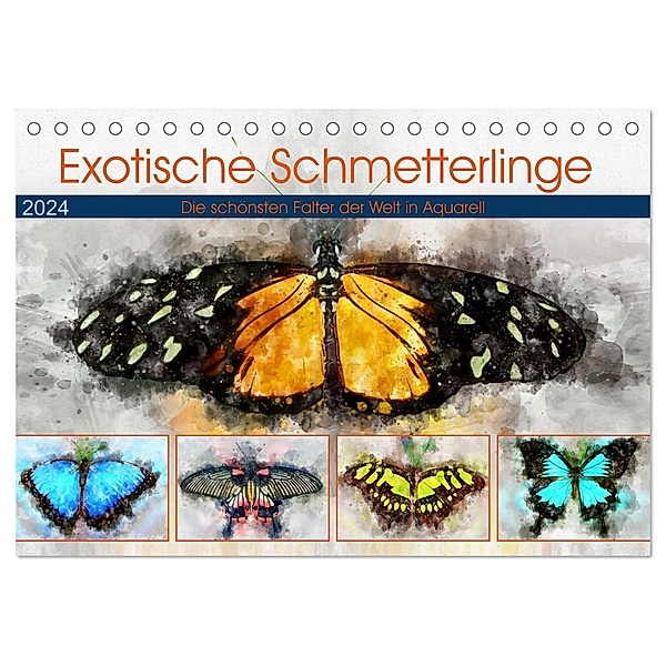 Exotische Schmetterlinge - Die schönsten Falter der Welt in Aquarell (Tischkalender 2024 DIN A5 quer), CALVENDO Monatskalender, Anja Frost