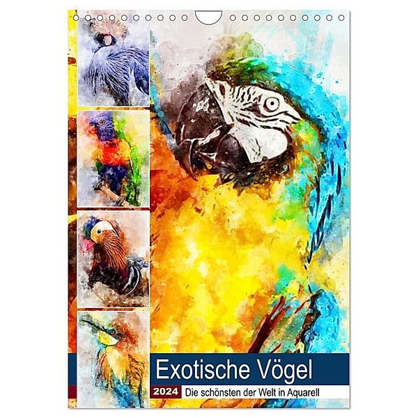 Exotische Vögel - Die Schönsten der Welt in Aquarell (Wandkalender 2024 DIN A4 hoch), CALVENDO Monatskalender, Anja Frost