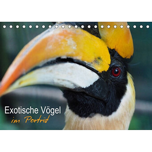Exotische Vögel im Porträt (Tischkalender 2022 DIN A5 quer), Christina Williger