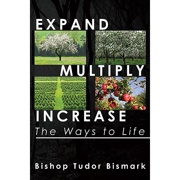 Expand, Multiply, Increase: The Ways to Life, Tudor Bismark