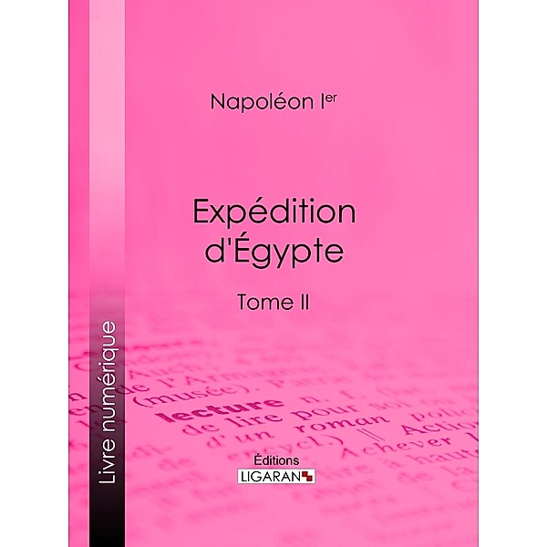 Expédition d'Egypte, Napoléon Ier, Ligaran