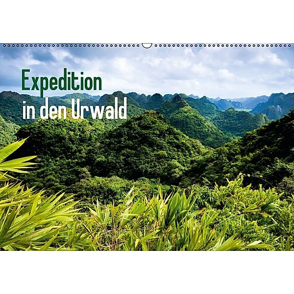 Expedition in den Urwald (Wandkalender 2014 DIN A2 quer)