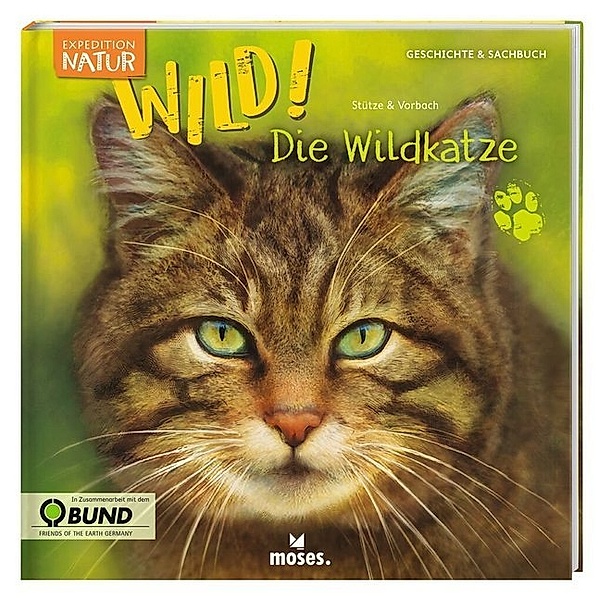 Expedition Natur: WILD! Die Wildkatze, Annett Stütze, Britta Vorbach