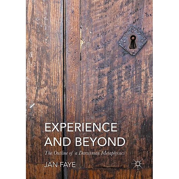 Experience and Beyond, Jan Faye