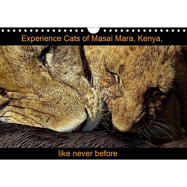 Experience Cats of Masai Mara, Kenya, like never before (Wall Calendar 2021 DIN A4 Landscape), Susan Michel