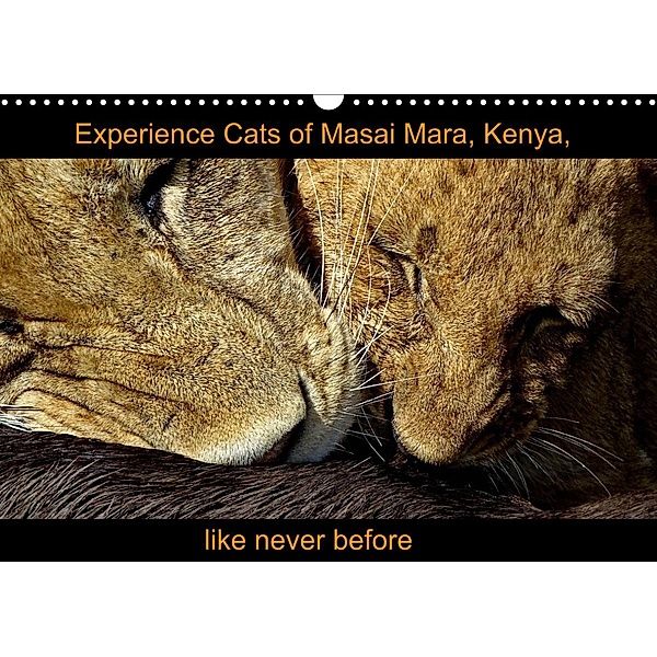 Experience  Cats of Masai Mara, Kenya, like never before (Wall Calendar 2023 DIN A3 Landscape), Susan Michel