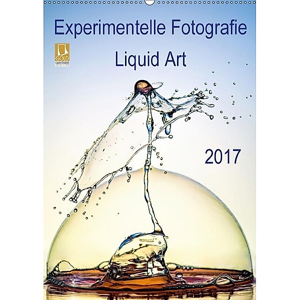 Experimentelle Fotografie Liquid Art (Wandkalender 2017 DIN A2 hoch), Henry Jager