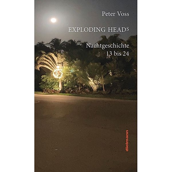 Exploding Heads, Peter Voss