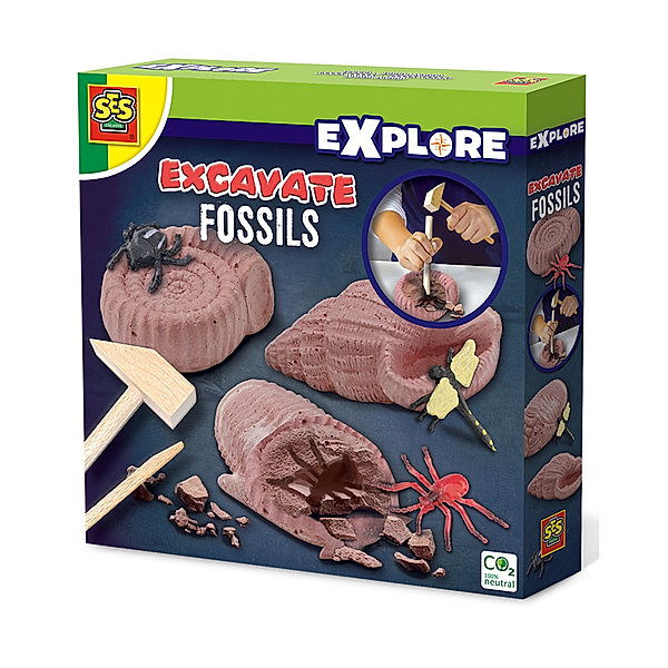 SES Creative Explore – Excavate Fossile