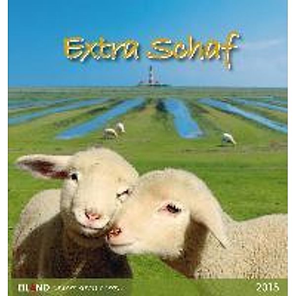 Extra Schaf 2015