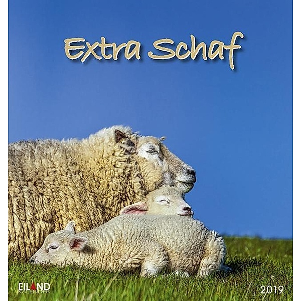 Extra Schaf 2019
