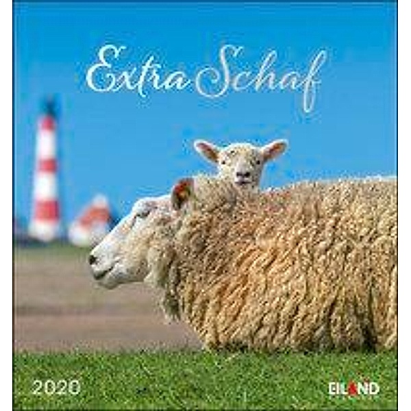 Extra Schaf Kalender 2020